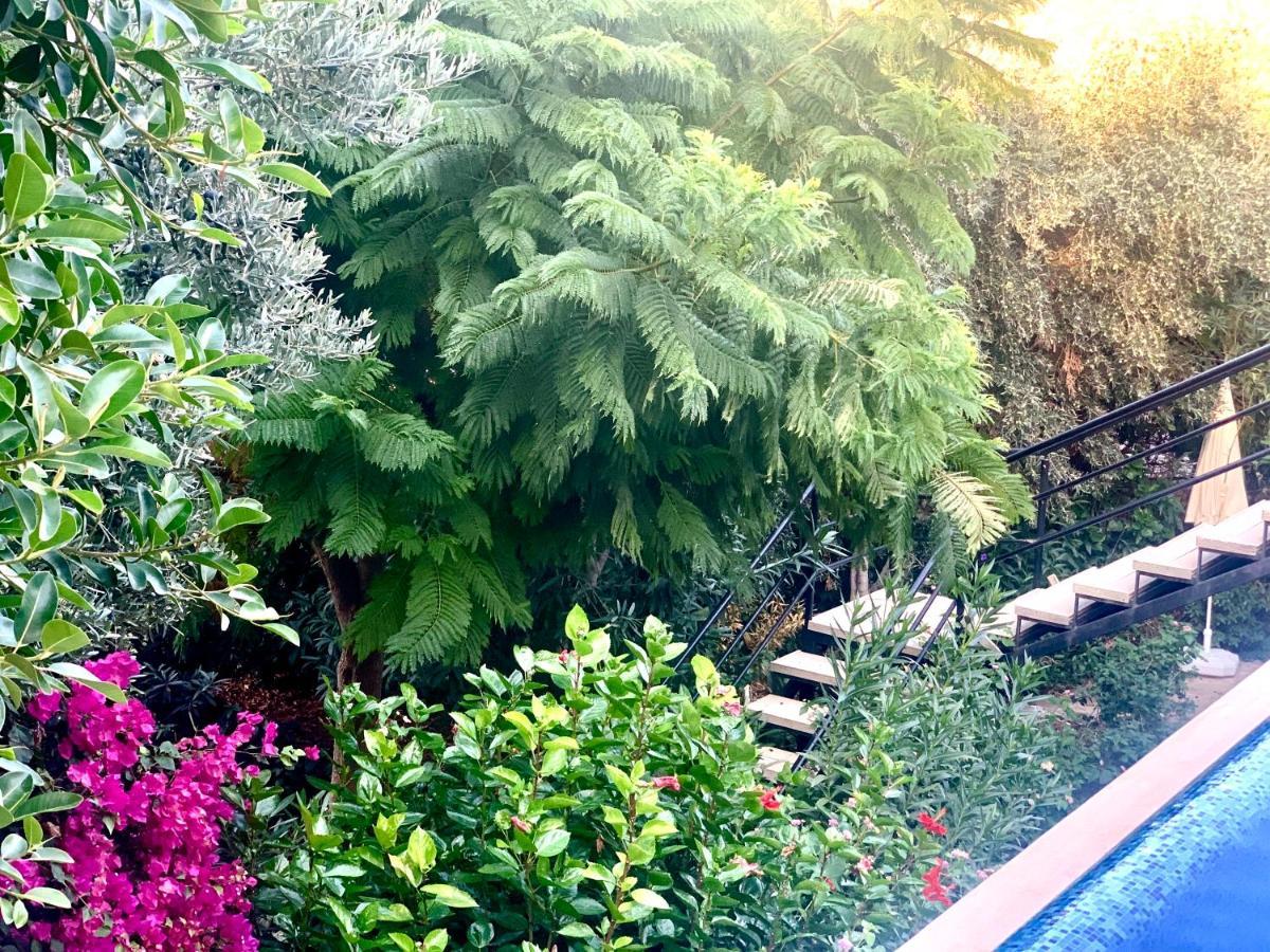 Club Hotel Barbarossa Kaş Eksteriør billede