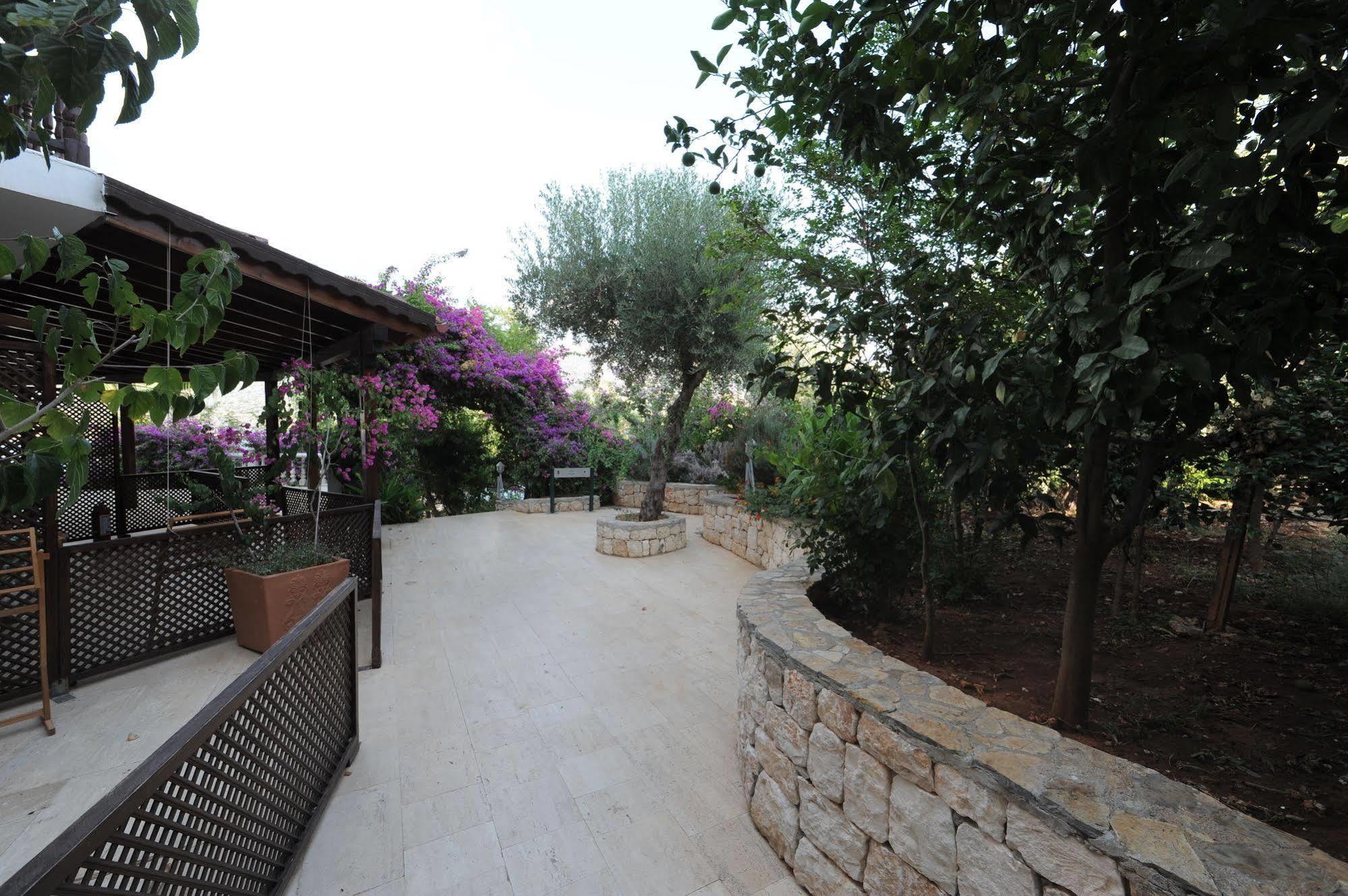 Club Hotel Barbarossa Kaş Eksteriør billede